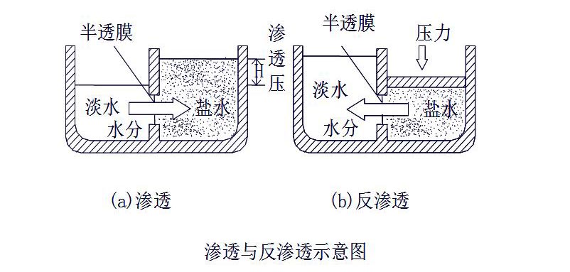 反滲透原理圖