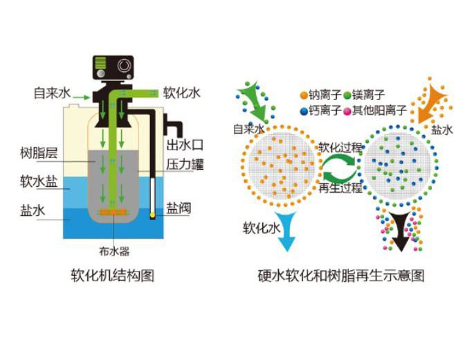 軟化樹脂軟化過程及再生示意圖